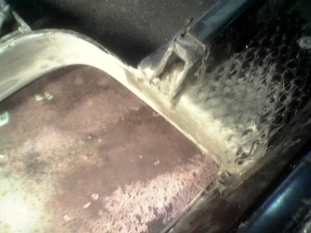 bumper09.webp