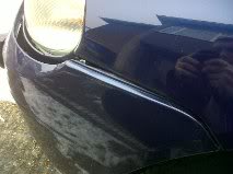 bumper3.jpg bumper3.jpg