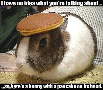 BUNNY.webp