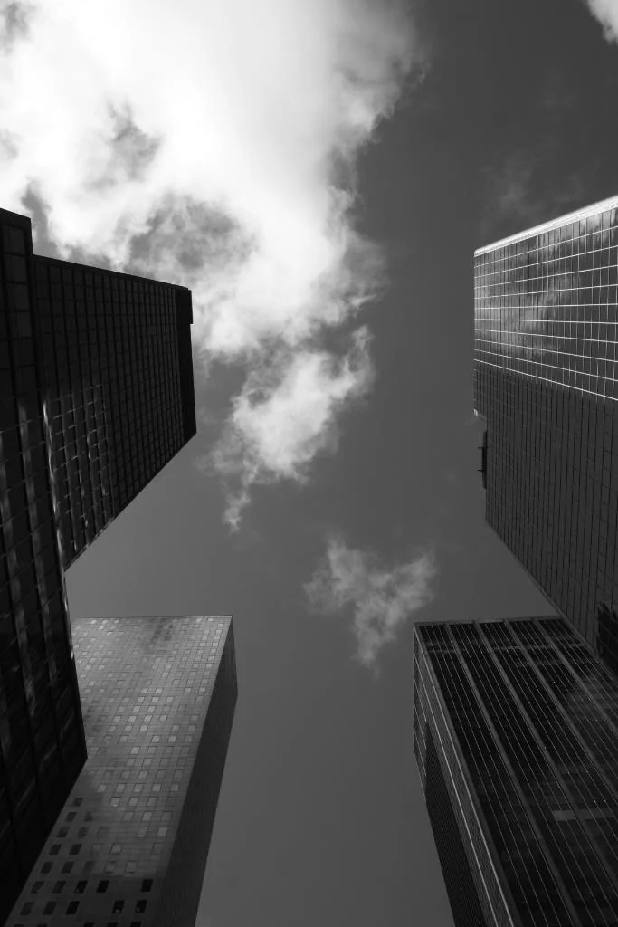 BW2.webp