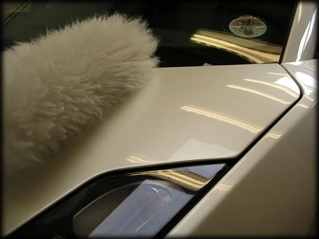 C125.webp
