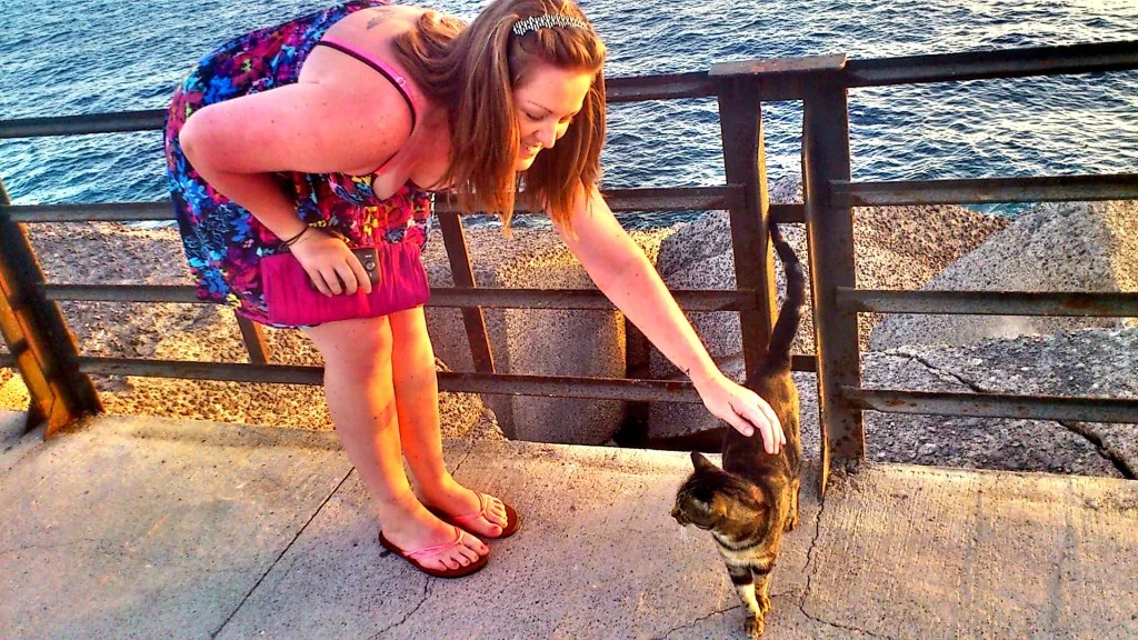 C360_2012-09-22-19-47-40.webp