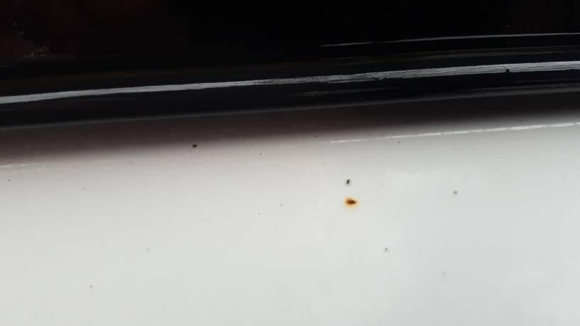 c505ef5c550cc73d5896bc741de00ae4.jpg