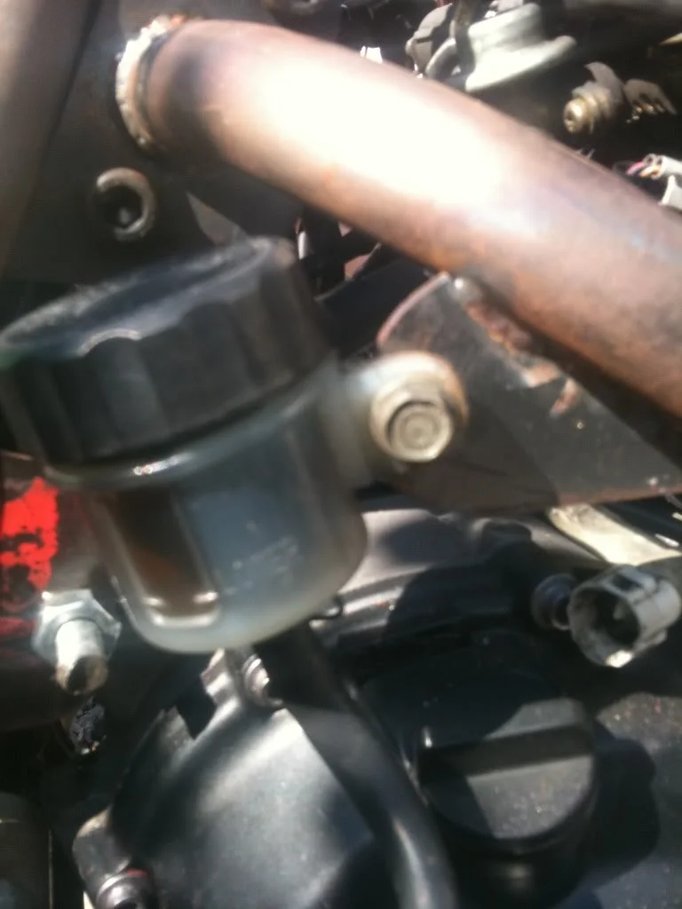 c5b613d1.webp