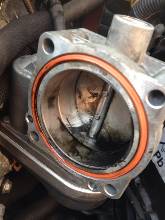 CAE5177C-FF80-4BA7-AD51-EFF7509889B1-8211-00000B01A81C86CC_zps65d665da.webp
