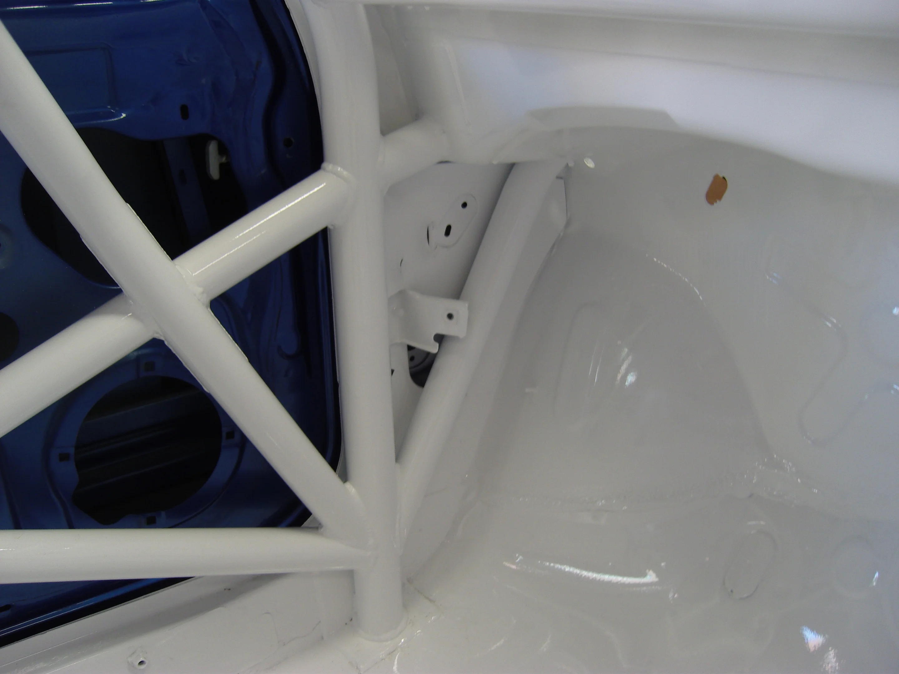 cage7.webp
