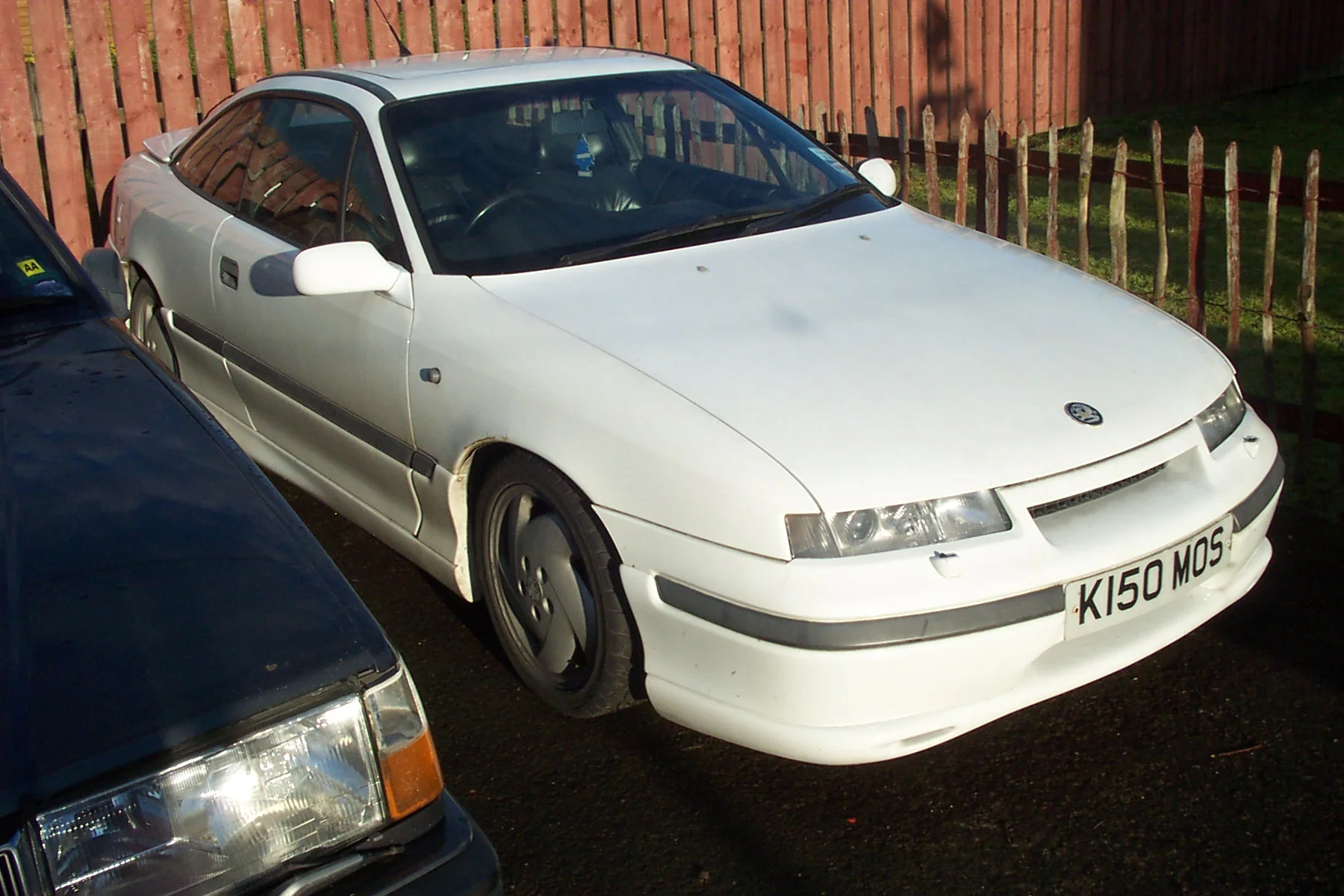 Calibra (3).webp
