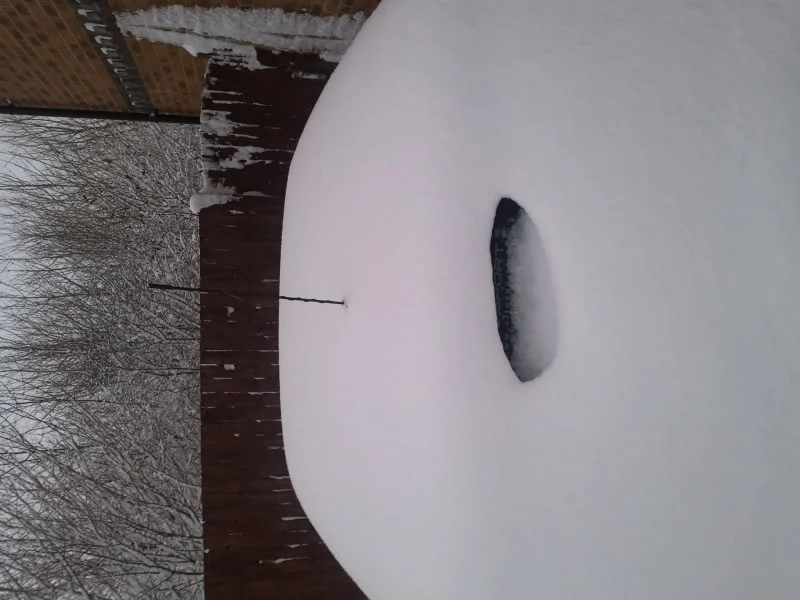 camera315.webp