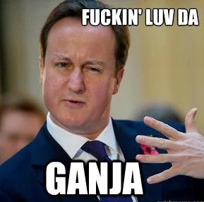 cameron-david-drugs-prohibition-weed-cannabis-meme.webp