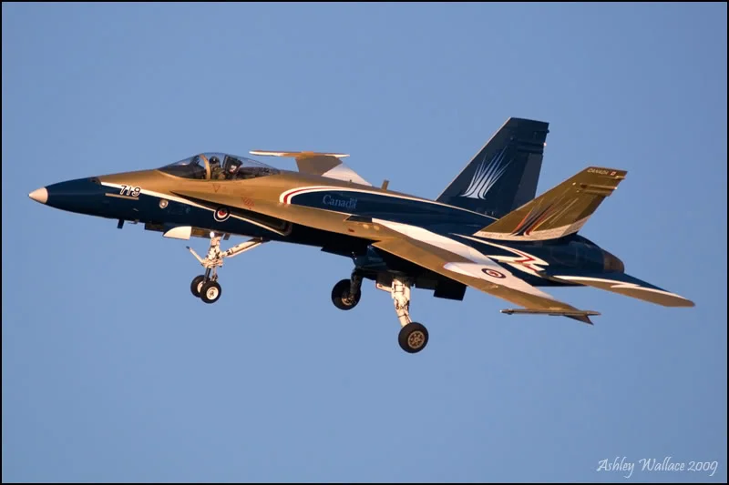 CanadianAFHornet1.webp