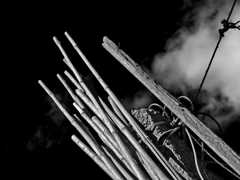 Cane_B_W_by_StuMac1985.webp