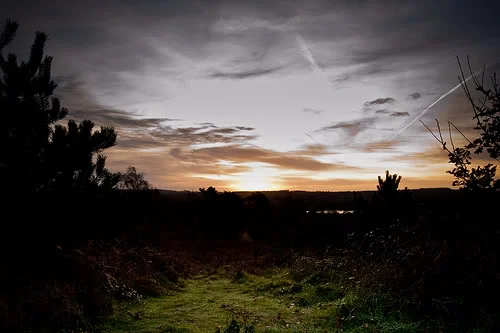 capturedbyjames.webp