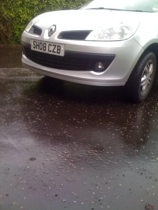 CAR.webp