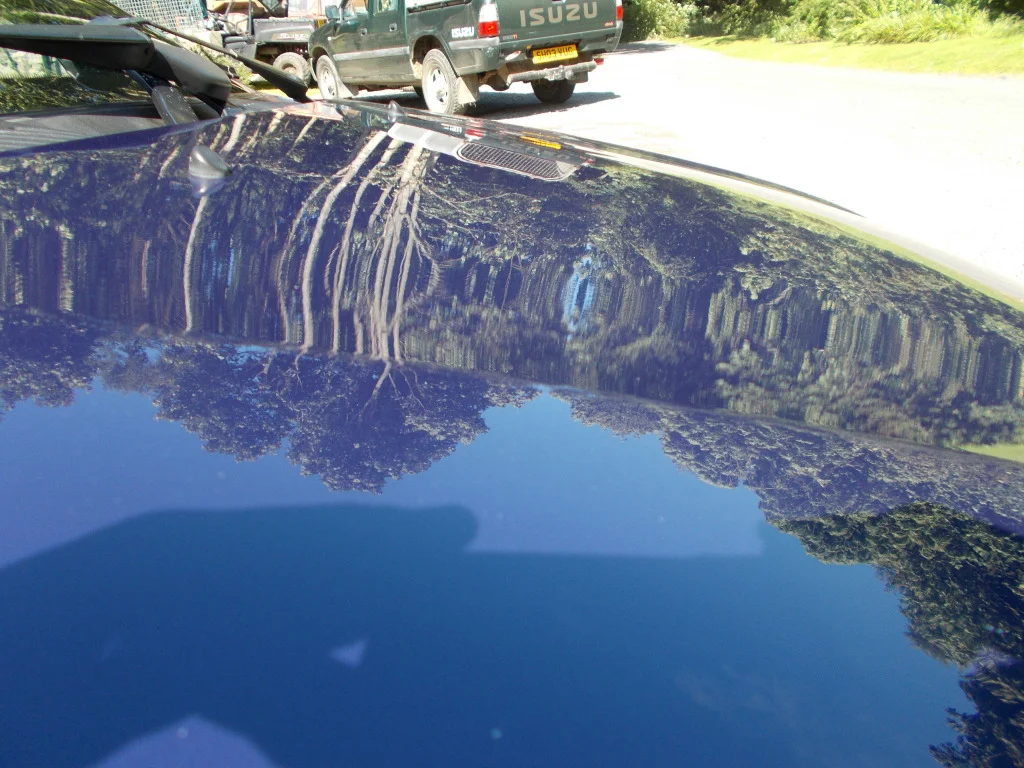 car065.webp