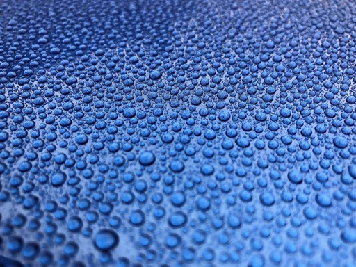 Car3.webp