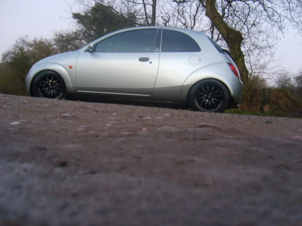 cardayout030.webp