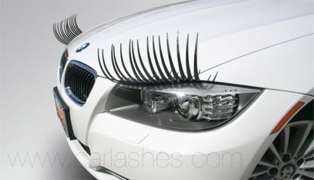 careyelashes08.jpg careyelashes08.jpg
