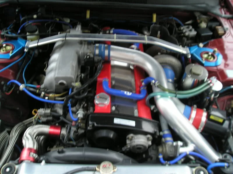 carpcar038.webp