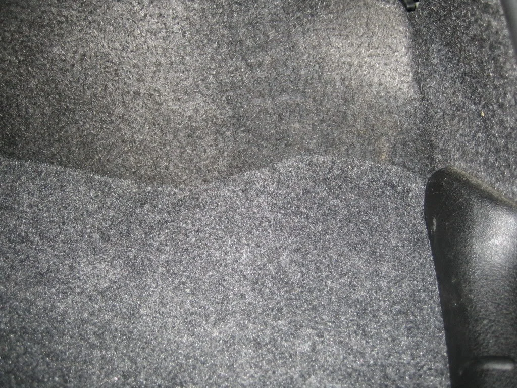 carpeted011.webp