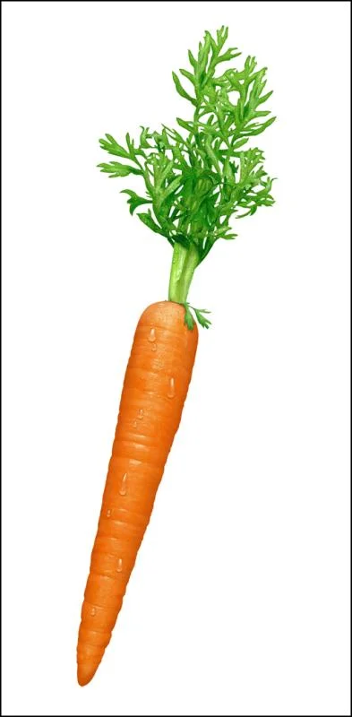 carrot.webp