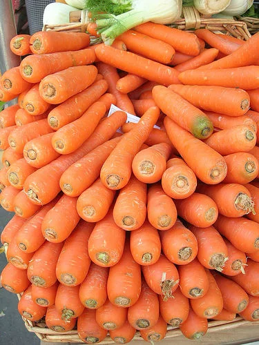 carrot.webp