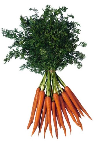carrots_tallthin.jpg