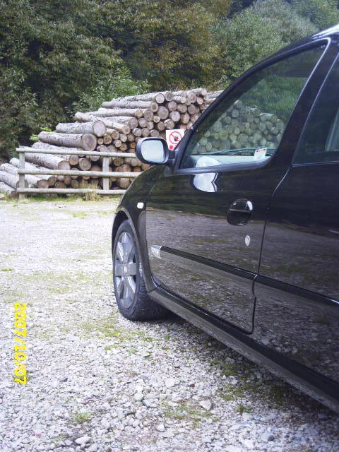 cars019.webp