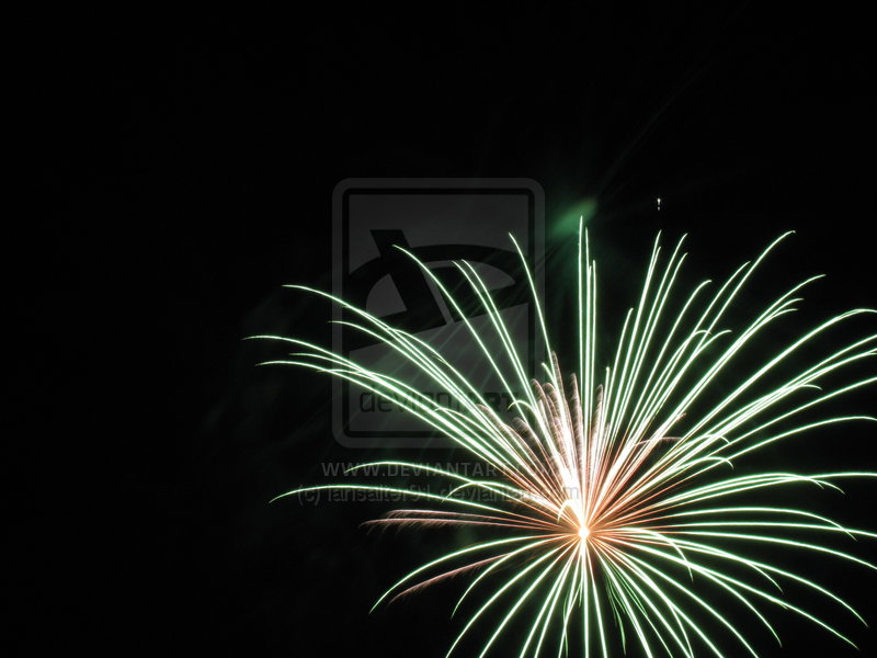 carterhatch_fireworks_2010_2_by_iansalter91-d32cnu1.jpg