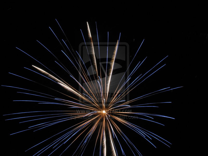 carterhatch_fireworks_2010_by_iansalter91-d32cg2x.jpg