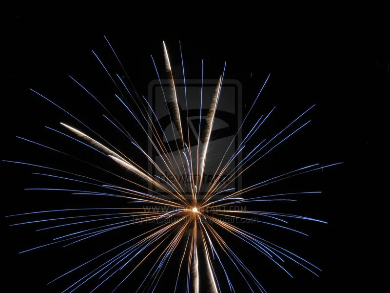 carterhatch_fireworks_2010_by_iansalter91-d32cg2x.webp
