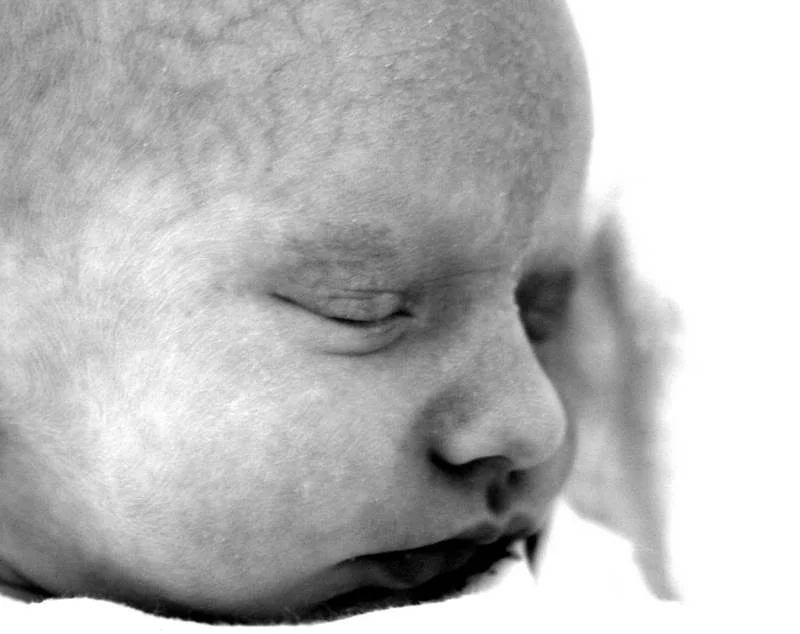 Casey-1-web.webp