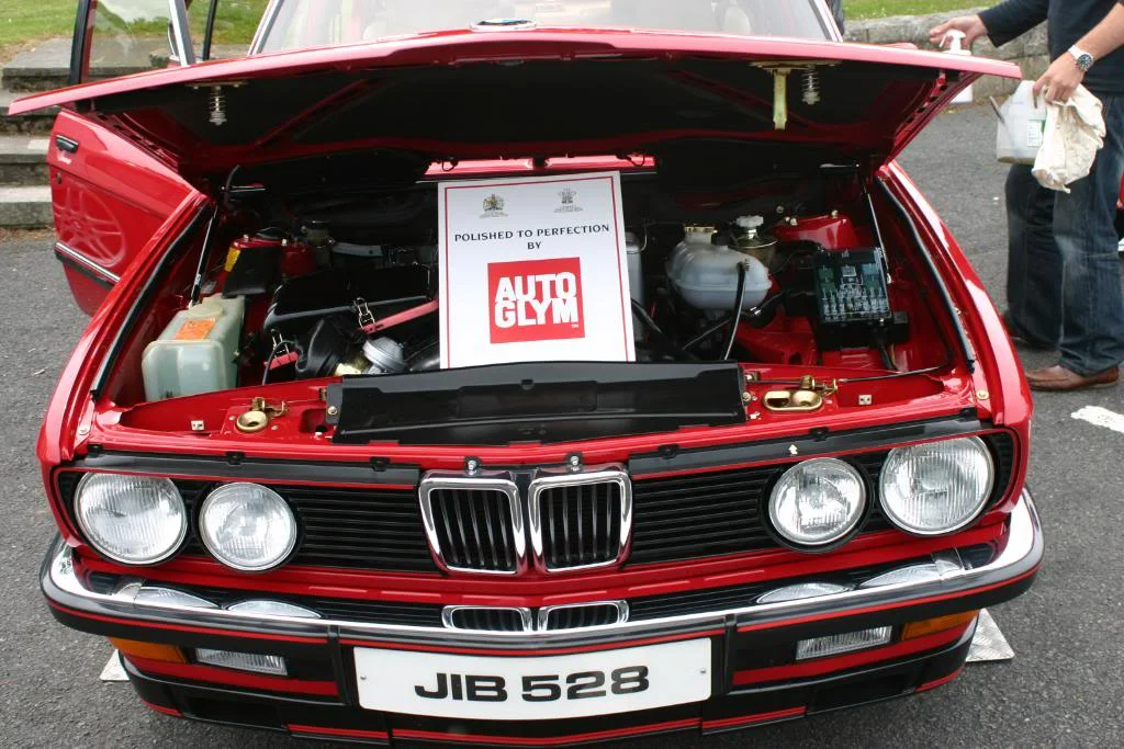 CastlewellanShow2010004.webp