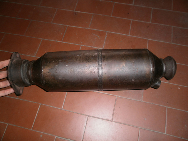 cat182_1-jpg.jpg