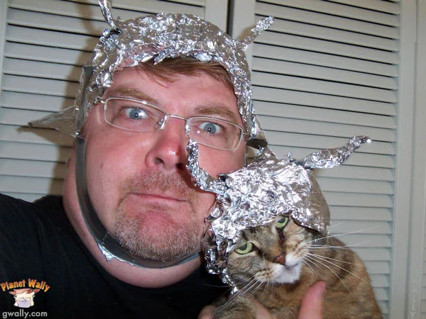catintinfoilhat.webp