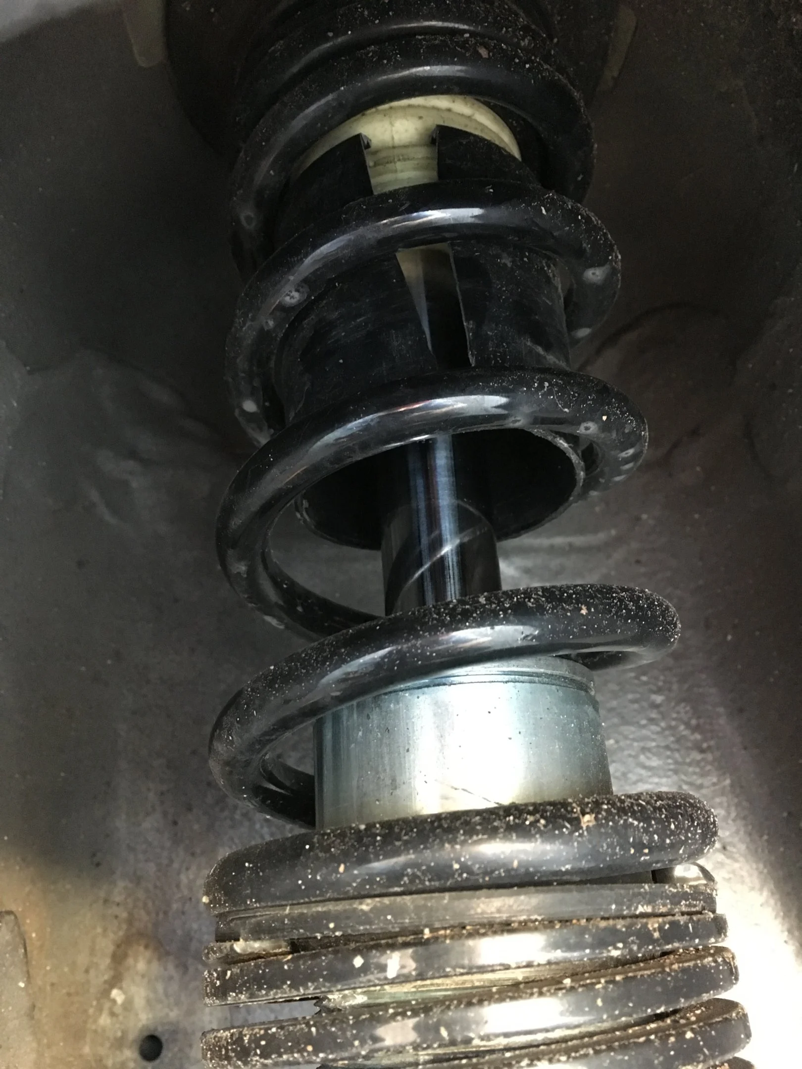CDB47AAB-1518-45AA-9590-12B6BA062756.webp