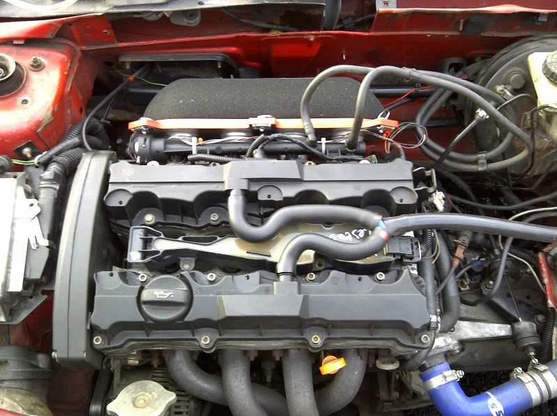 Charnwood-20110917-00633.webp