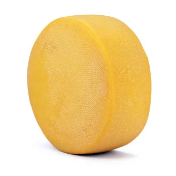 cheese_wheel.webp
