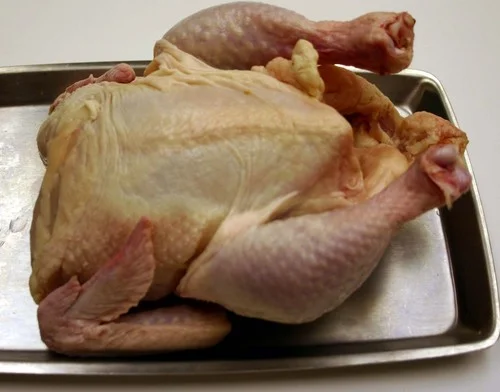 chicken.webp