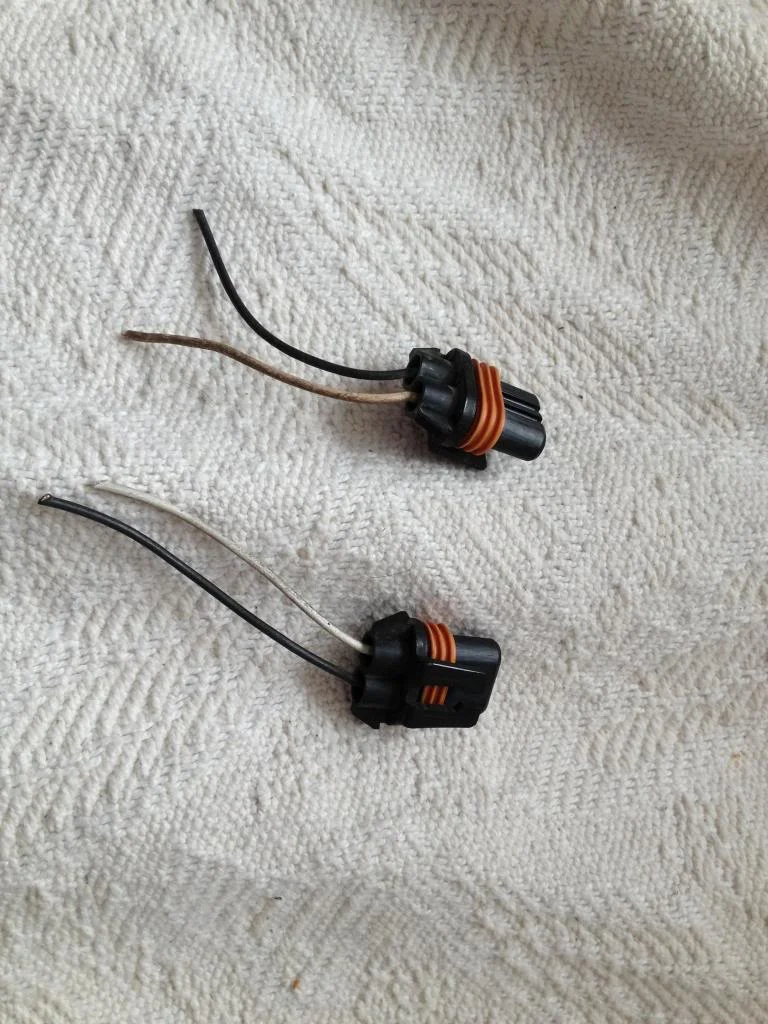 Chubz189.webp