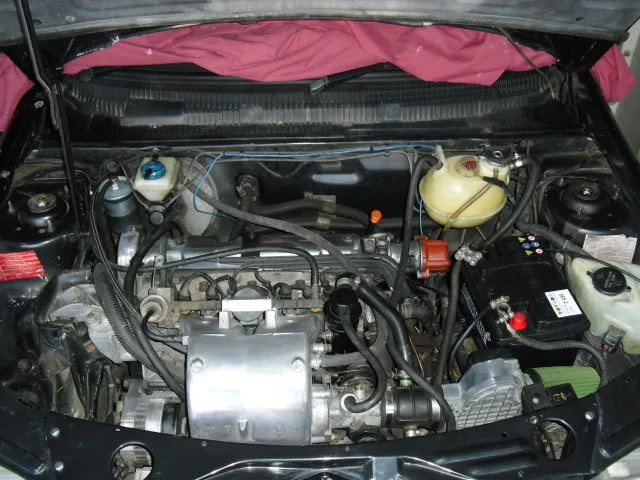 CIMG0043.webp
