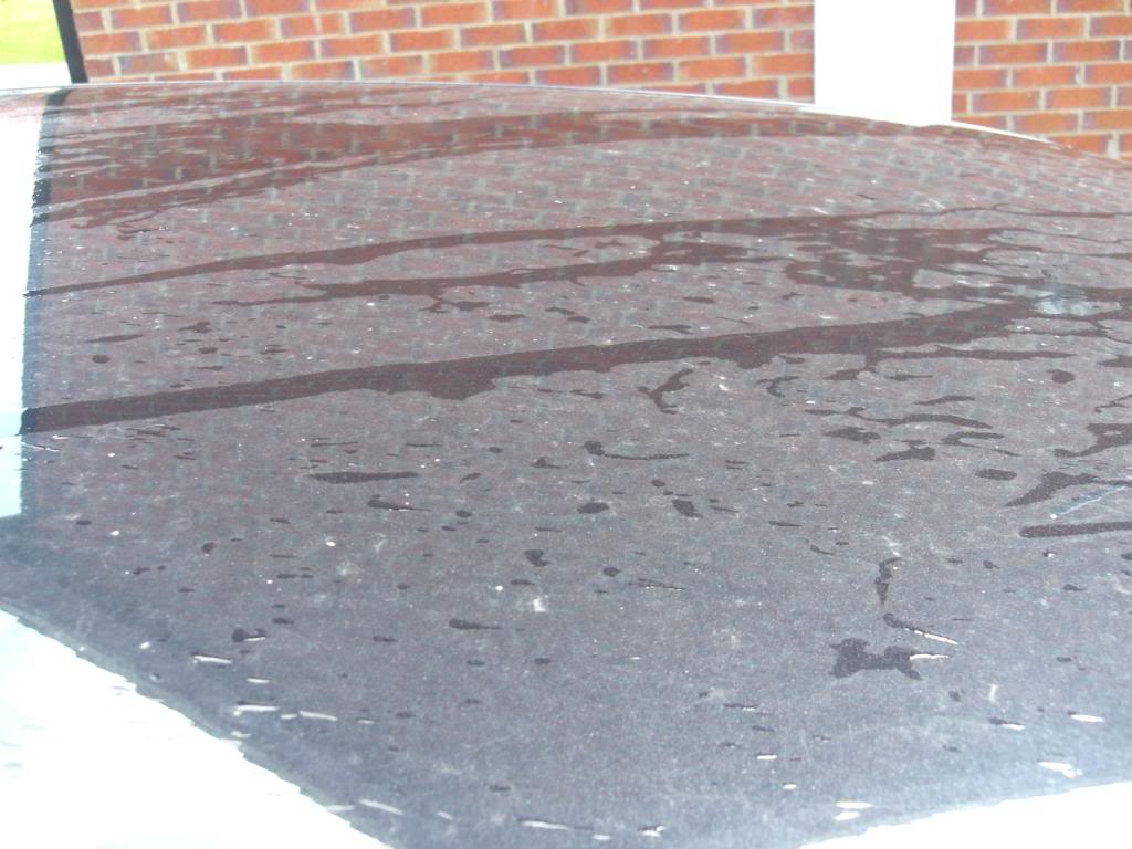 CIMG0549.jpg