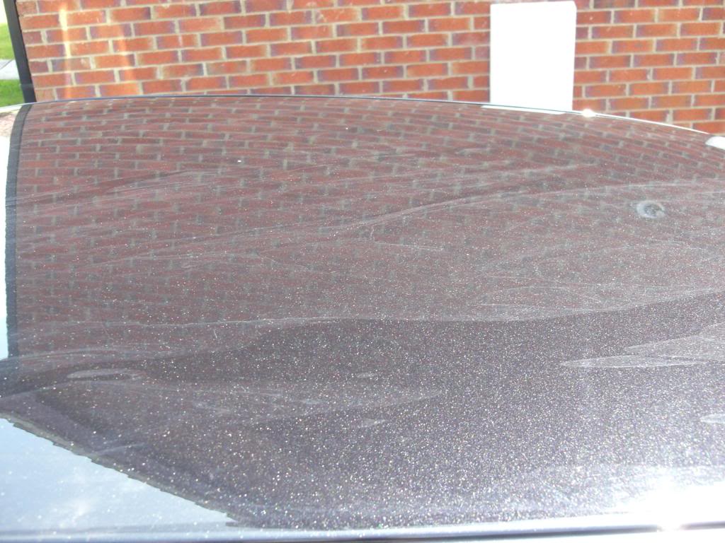 CIMG0551.jpg