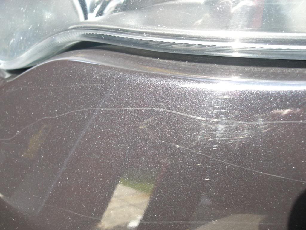 CIMG0557.jpg