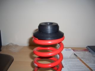 CIMG0591.jpg