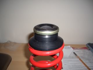 CIMG0592.jpg