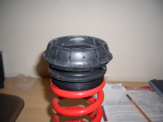 CIMG0593.jpg