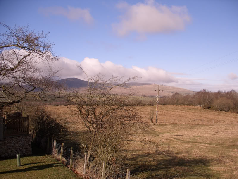 CIMG2008.jpg
