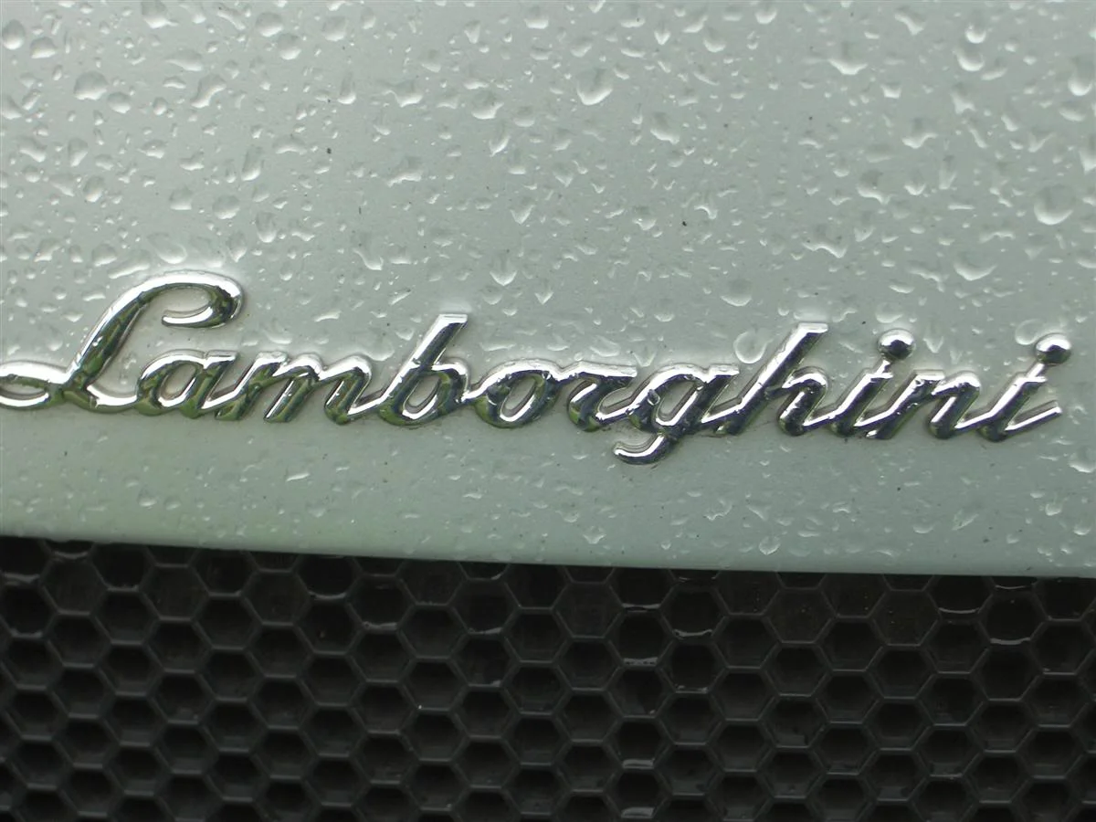CIMG2117Custom.webp