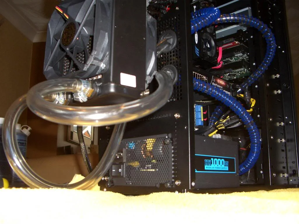 CIMG2261.webp