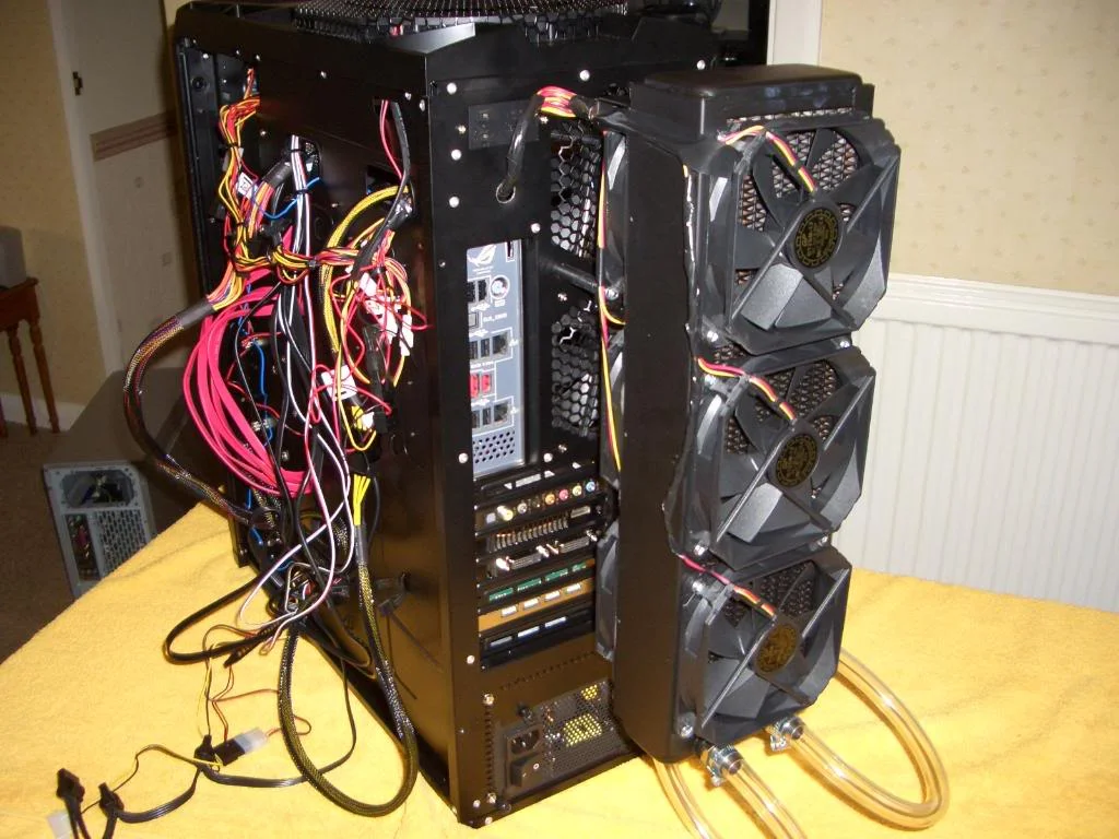 CIMG2262.webp